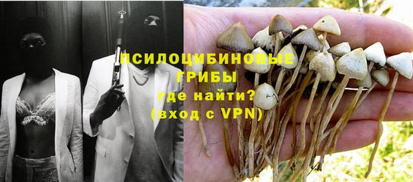 соль ск Аркадак