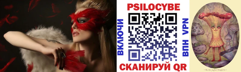 Псилоцибиновые грибы Cubensis Новоульяновск